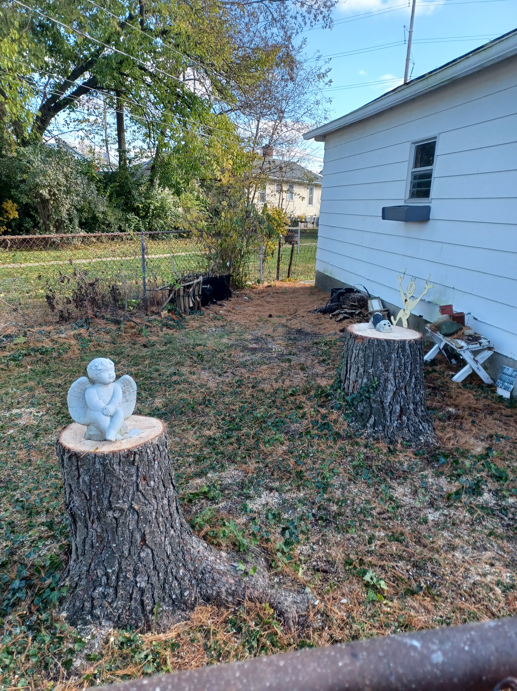 sld4 Emergency Tree Removal